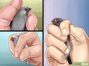 Crush Porn - How to Satisfy Your Crush Porn Fetish : r/disneyvacation