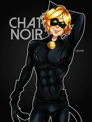Gay Porn Cat - guess who finally watched Miraculous Ladybug? and I have to say that Cat  Noir costume should be illegal. like the Max Steel one.