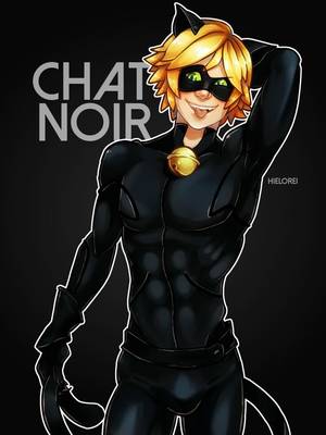 Gay Cat Porn - guess who finally watched Miraculous Ladybug? and I have to say that Cat  Noir costume should be illegal. like the Max Steel one.