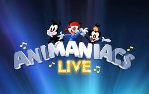 Animaniacs Porn Katie - SATURDAY MORNINGS FOREVER: ANIMANIACS (1993)