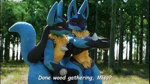Gay Furry Sex Ass - 3D Yiff by Kuroodod Furry Porn Sex E621 FYE Gay Femboy Lucario Brothers  Incest Pokemon r34 Rule34 Anal - Ð¿Ð¾Ñ€Ð½Ð¾ Ð²Ð¸Ð´ÐµÐ¾