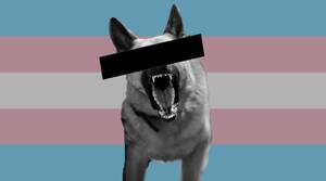 grand trans gif self suck - CHOKECHAIN. â€œMom bought a Robo & Co android. Looksâ€¦ | by Andrew Joseph  White | Medium