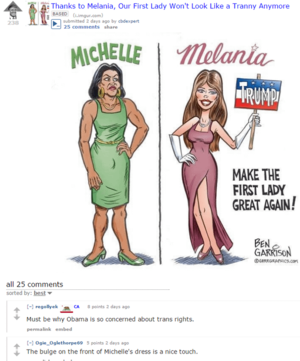 Michelle Obama Porn Captions Shemale - r/the_donald calling Michelle Obama transgender as an insult Day #9: Thanks  to Melania, Our First Lady Won't Look Like a Tranny Anymore [+238] :  r/EnoughTrumpSpam