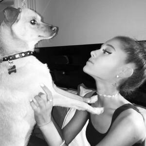Ariana Grande Mom Porn - UPDATE: Ariana Grande's Dogs ''Almost Murdered'' by Ferry Officials?!