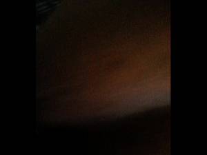 Amateur Porn Charlotte Nc - 