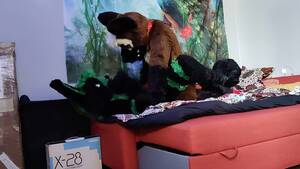 German Shepherd Furry Porn - German shepherd breeds a bunny - Fursuit yiff breeding watch online