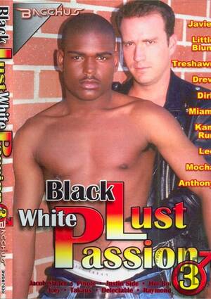 Black Gay Porn Star Passion - Black Lust White Passion 3 | Bacchus Gay Porn Movies @ Gay DVD Empire