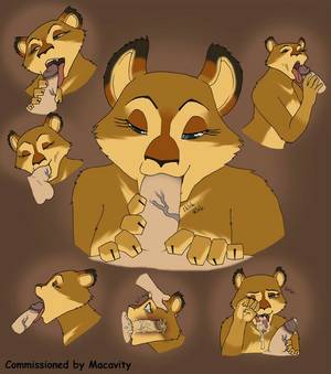 Animal Human Porn Comic - Madagascar, Search, Porn, Searching, Research