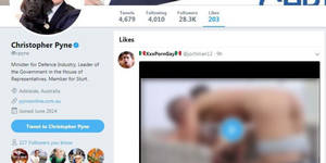 3k Porn - Bernardi Wants Investigation Into Pyne's Twitter Account After Porn Video  'Like'