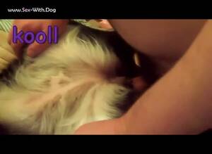 Collie Porn - My Collie Vids Kooll Collie Flashlight Pack - Zoo Porn Amateur, Zoo Porn  With Men at Katitube