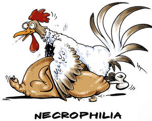 Chicken Fuck Cartoon - Necrophilia By JARO | Love Cartoon | TOONPOOL