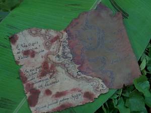 Geena Davis Pirate Porn - Cutthroat Island treasure map pieces Â· Treasure MapsPirates