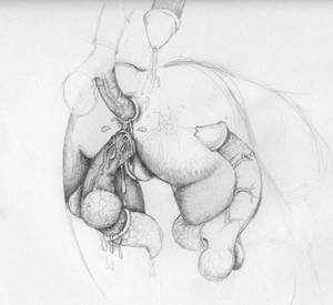 erotic sex pencil drawings - Alien Life. Alien sex