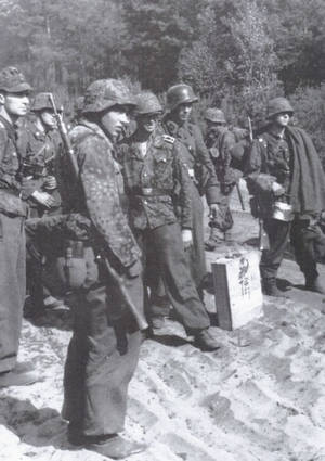 Army Propaganda Porn - German camouflage porn series 2: Memebers of the 3.SS-Division 'Totenkopf