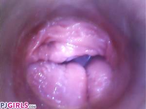 Cum Inside Pussy Camera - PJGIRLS Silvia DeLuxe sticks camera inside her vagina RAW pussy cam footage