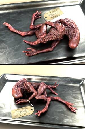 Creating Alien Babies Porn - Making of 'Alien Baby' Â· 3dtotal Â· Learn | Create | Share