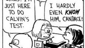 Calvin And Hobbes Susie Porn - It's not youâ€¦It's porn |