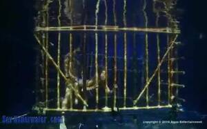 Cage Underwater - Underwater Cage sex - ThisVid.com