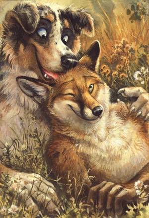 Anthro Fox And The Hound Porn - I Lick You by screwbald.deviantart.com on @deviantART