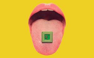 Bikini Riot Legal Porn - Edmon de Haro