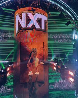 Bella Twin Porn Signs Contract - Cavinder Twins tease WWE debut as 'your new fav tag team' pose in the ring  ahead of NXT screening | The US Sun