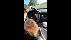 driving blowjob - Blowjob while driving porn videos & sex movies - XXXi.PORN