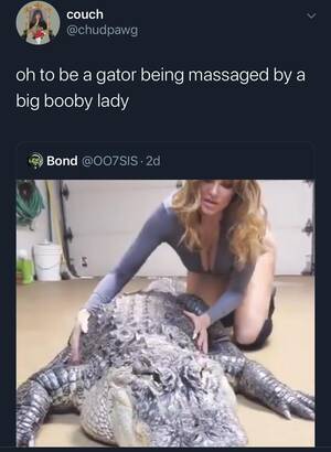 Man Fucks Female Alligator - oh to be a gator being massaged by a big booby lady : r/BrandNewSentence