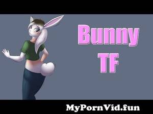 Bunny Rabbit Transformation Porn Captions - bunny tf TG caption gender bender boy to girl breast expansion female  growth furry chest rabbit tail from lola bunny tg tf animation Watch Video  - MyPornVid.fun