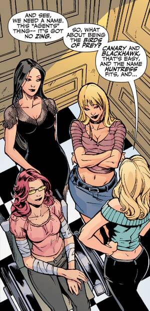 Black Canary And Huntress Lesbian Porn - The Birds of Prey of Margot Robbie's Harley Quinn movie, explained - Polygon