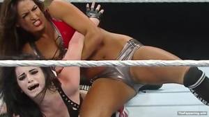 Bella Twins Xxx Porn - 