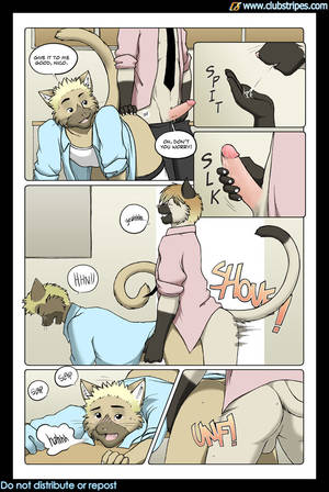 Gay Furry Sex Comics - anal anal_sex clubstripes comic feline furry gay male man_love_mocha meesh  no_humans open_clothes open_shirt penetration sex shirt