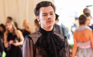 Harry Styles Gay Porn - Harry Styles Wants Tender Sex in Gay Films, Proves He's Never Seen Any