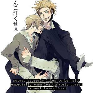 Hetalia Denmark X America Porn - DenNor, Denmark x Norway, Axis Powers Hetalia