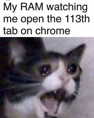 Love Porn Meme - Funny Memes on X: \