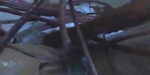 Alien Tentacle Attack Porn - alien tentacles attack a nurse - Tnaflix.com