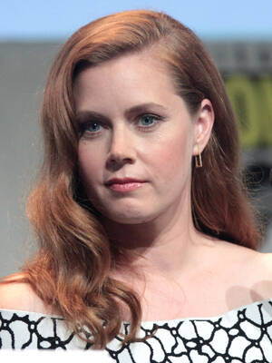 Amy Adams Hentai Porn - List of Amy Adams performances - Wikipedia