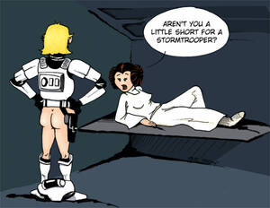 Luke Leia Star Wars Porn - Rule34 - If it exists, there is porn of it / luke skywalker, princess leia  organa / 390860