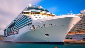 Cruise Sex Porn - Cruise Company Asks Gay Men to Stop Filming Adult Videos on Ships