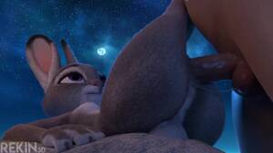 Judy Hopps Furry 3d Porn - REKIN - Judy Hopps - 3D Animation - HD 60fps Porn Video