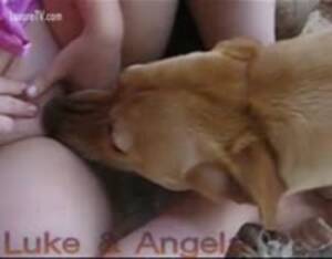 Girls Of Bestiality Porn - Beastiality girls - Extreme Porn Video - LuxureTV