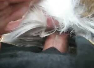 Man Fucks Deer 2 - Guy Fucks Deer 1 Gaybeast Rip - Animal Porn Tube - Katitube Kinky Sex