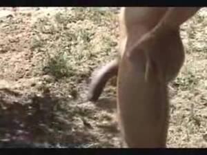 Big Donkey Dick Porn - S 14 Inch Donkey Dick And He Came Everywhere! : XXXBunker.com Porn Tube