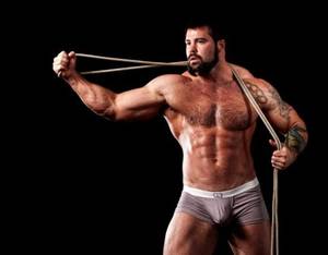 Bisexual Bear Porn - Biversbear XXX on Twitter: \