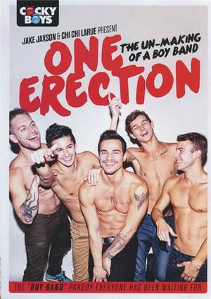 Erect Boy Porn Magazine - One Erection: The Un-Making Of A Boy Band
