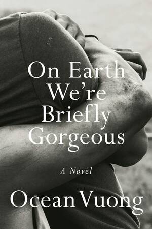 brazilian anal destruction - On Earth We're Briefly Gorgeous by Ocean Vuong â€“ The Brooklyn Rail