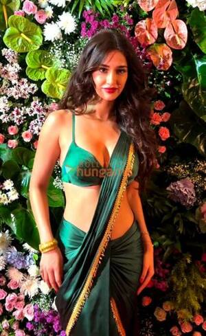 bollywood porn actress kanika - Kanika Dhillon, Filmography, Movies, Kanika Dhillon News, Videos, Songs,  Images, Box Office, Trailers, Interviews - Bollywood Hungama