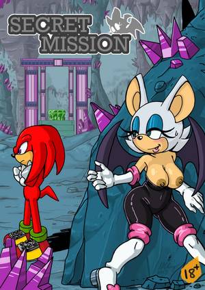 Adult Sonic Porn - Secret Mission