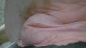 fist fucking lots - fist Animal Porn, page 4