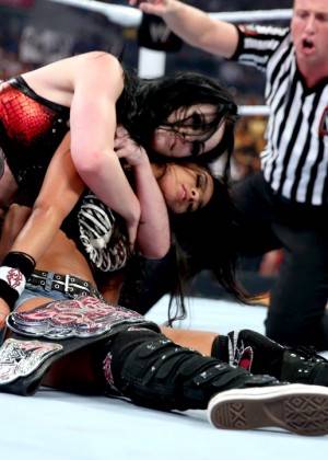 Aj Lee Wrestling Porn - Paige vs AJ Lee: WWE Summerslam -21
