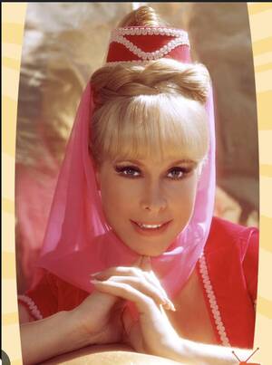 Barbara Eden Jeannie Porn - Susanne Sommers, Barbara Eden or Elizabeth Montgomery? : r/70s